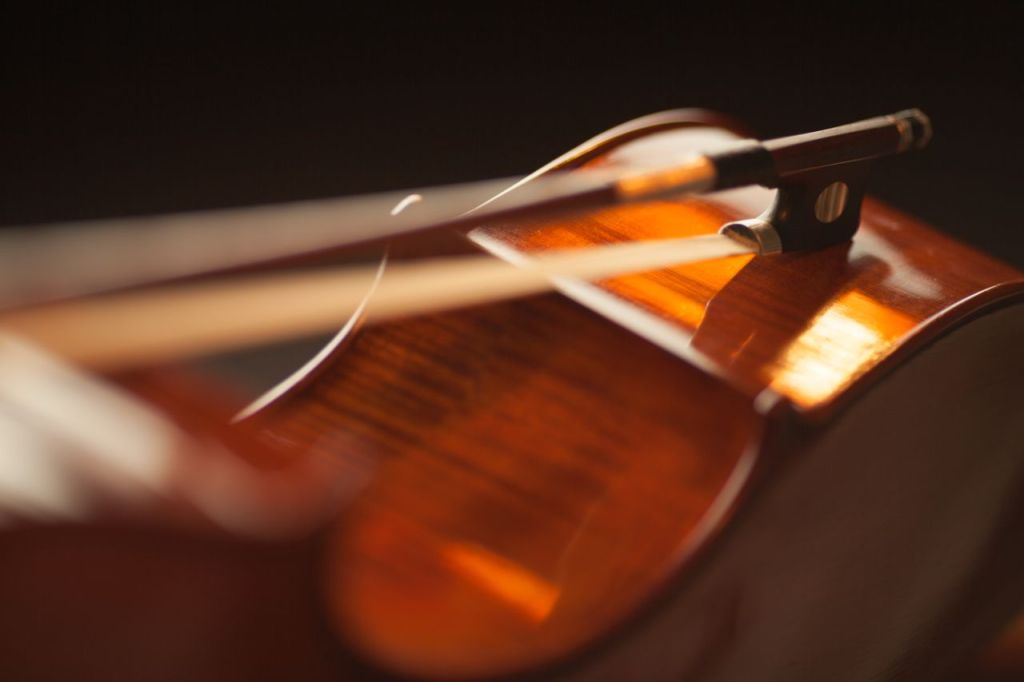 Black background with a close-up view of a stringed instrument 